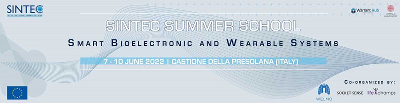 Sintec-Summer-School-banner-DEF